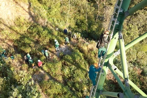 Đến Sa Pa xem người làm du lịch bảo vệ rừng già