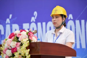 Chuyện về nữ CEO đầu tiên của ngành điện Việt Nam
