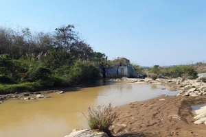 EVNGENCO 3: Chung tay hỗ trợ người dân địa phương