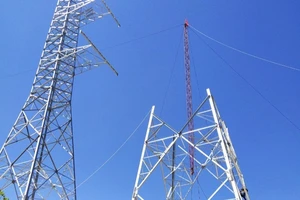 EVNNPT không để chậm tiến độ dự án điện vì COVID-19