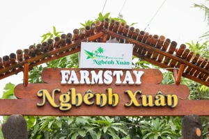 Trải nghiệm xứ dừa tại Nghênh Xuân Farmstay