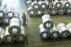 Tôn Hoa Sen lãi hơn 100 tỉ đồng trong tháng 6