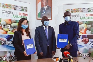 T&T lập kỷ lục trong thương vụ mua điều ở Bờ Biển Ngà