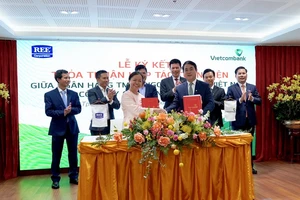 Vietcombank hợp tác REE cấp tín dụng cho nhà máy điện gió 