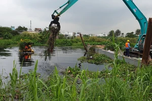 TP.HCM: Nhiều điểm 'đen' về rác được xử lý