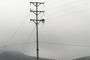 Bão số 9: Nhiều nơi ở Nghệ An, Hà Tĩnh vẫn bị mất điện 