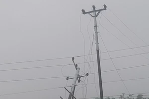 EVNNPC ủng hộ miền Trung 6 tỉ đồng khắc phục thiên tai