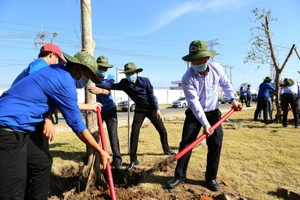 Năm 2021, EVNGENCO1 phấn đấu trồng 5.000 cây xanh