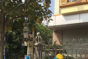 Điện lực miền Bắc kích hoạt mức độ cao nhất chống COVID-19 