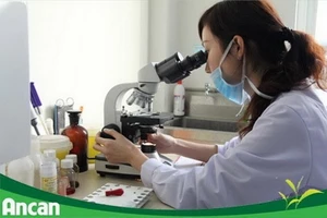 Ancan - niềm vui sống khỏe cho người bệnh