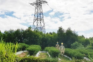 EVNNPT vận hành an toàn lưới điện phục vụ bầu cử