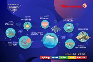 Điện Quang - Giải pháp chiếu sáng thông minh toàn diện