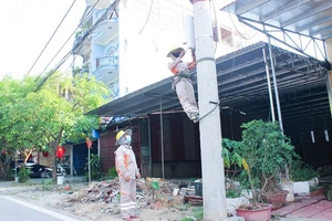 Điện lực miền Bắc căng sức ứng phó với nắng nóng