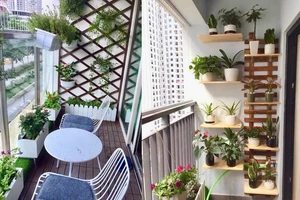 Thiết kế tiểu cảnh sân vườn căn hộ chung cư cao cấp