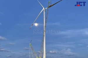 Dịch vụ cho thuê xe cẩu điêu đứng hậu giãn cách