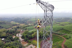 Năm 2021, EVNNPT dự kiến doanh thu 15.478 tỉ, lợi nhuận 424 tỉ