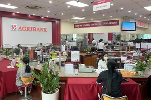 Agribank Chi nhánh Ninh Thuận vững bước phát huy truyền thống