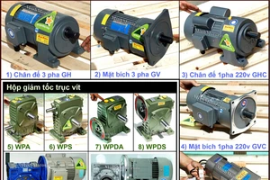 Taili – niềm tự hào của ngành motor giảm tốc quốc tế