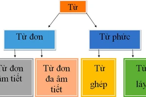 Từ ghép là gì? Cách phân biệt từ ghép từ láy nhanh