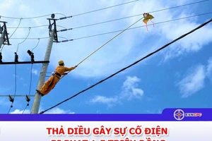 EVNCPC: Cảnh báo nguy cơ mất an toàn điện do thả diều