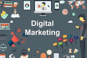 Học Digital Marketing tại IMTA để kinh doanh hiệu quả
