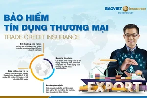 Giải pháp cho các rủi ro tín dụng đối với doanh nghiệp xuất khẩu 