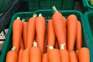 Siêu thị Co.opmart Hải Phòng giữ uy tín bằng hàng hóa chất lượng