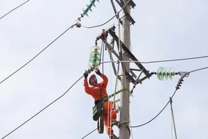 EVNNPC rà soát thực hiện kế hoạch đầu tư xây dựng năm 2022 