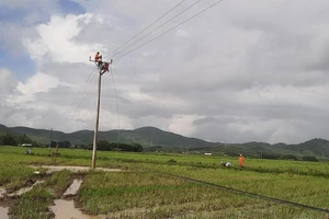 EVNNPC khẩn trương khắc phục hậu quả lũ lụt tại Thanh Hóa, Nghệ An, Hà Tĩnh