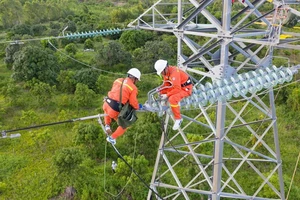 Truyền tải điện đạt giải cao tại hội thi thợ giỏi EVN năm 2022