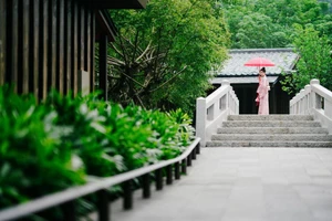 Du lịch wellness: ‘Át chủ bài’ đưa du lịch Quảng Ninh hấp dẫn suốt 4 mùa 