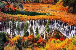 Mùa thu Trung Quốc có gì ‘đặc biệt’ so với thế giới?