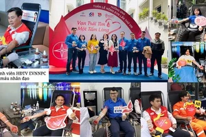 Cán bộ, nhân viên EVNNPC hiến máu hưởng ứng Tuần lễ hồng EVN