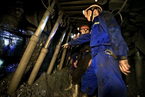 TKV dự kiến lãi hơn 1.300 tỉ đồng trong quý I-2023