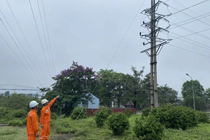 EVNNPC: Điện thương phẩm tăng, tổn thất điện năng giảm