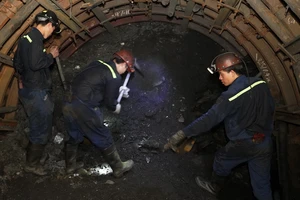 TKV cam kết cung cấp than vượt 15% so năm 2022