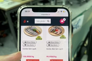 Co.op Online - Hành trình 5 năm ‘Giao niềm vui - Nhận nụ cười’