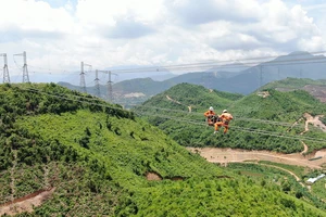 EVNNPT: 15 năm khẳng định vị thế vững chắc