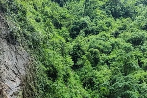 Mưa lũ, sạt lở đất ảnh hưởng đến vận hành nguồn và lưới điện