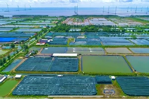 Bạc Liêu trở thành tỉnh mạnh và giàu từ biển