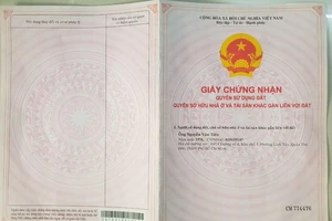 Táo tợn làm giả sổ đỏ để lập dự án ma ở quận 12