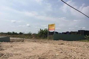 Tạm dừng bán đấu giá tài sản tại KCN Phong Phú