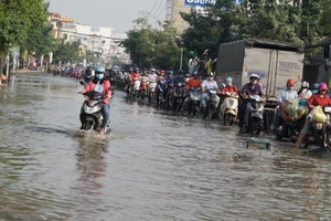 TP.HCM chống triều ở các bờ bao xung yếu