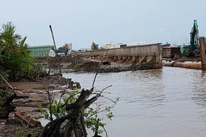  Dự án 160 tỉ đồng của Sở GTVT TP.HCM bị thanh tra toàn diện