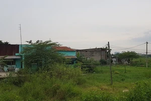 Chuyển hơn 384 ha đất nông nghiệp thành khu đô thị ở Hóc Môn?