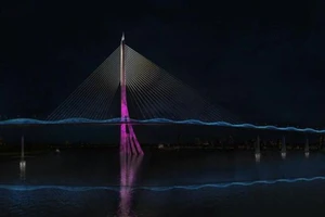 Xây cầu Cần Giờ, cầu Bình Tiên theo hình thức BT