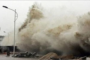 TP.HCM đề ra 4 tình huống ứng phó động đất, sóng thần 