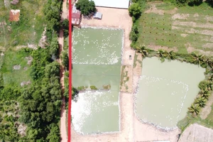 Dự án farmstay ‘đứng hình’ vì ranh giới kênh không rõ 