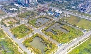 TP.HCM sẽ đấu giá lại 4 lô đất vàng ở Thủ Thiêm bị bỏ cọc