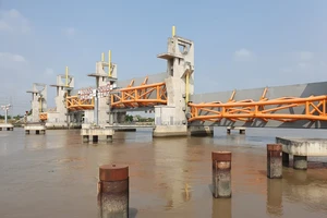 Dự án ngăn triều khổng lồ ở TP.HCM vẫn bế tắc phương án vốn